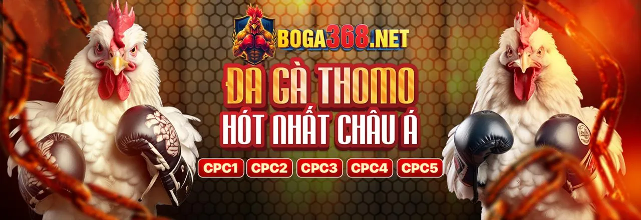 Tin tức mới nhất về cá cược trực tuyến châu Á