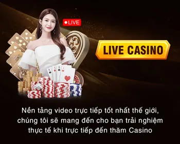 Các loại cookie Haybet sử dụng
